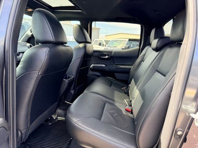 2023 Toyota Tacoma Limited V6